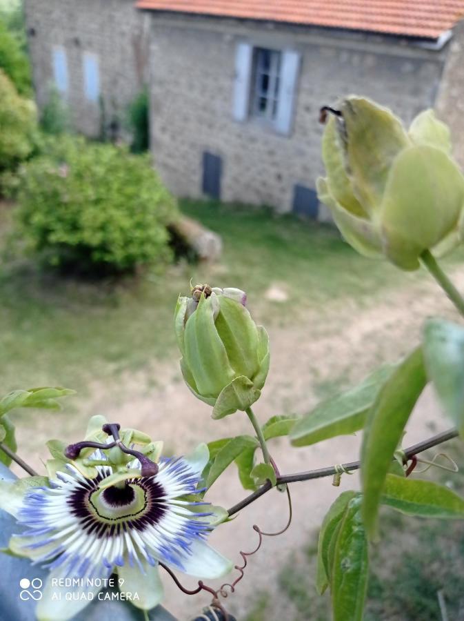 Ferme De Fenivou Villa Boulieu-les-Annonay Bagian luar foto