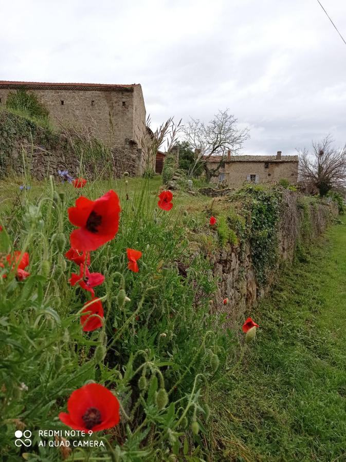 Ferme De Fenivou Villa Boulieu-les-Annonay Bagian luar foto
