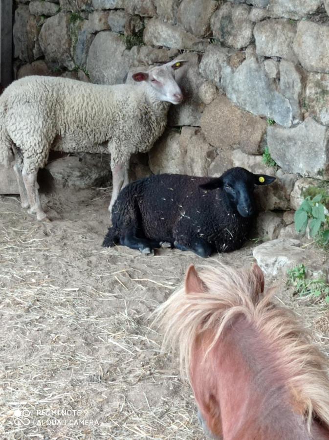 Ferme De Fenivou Villa Boulieu-les-Annonay Bagian luar foto